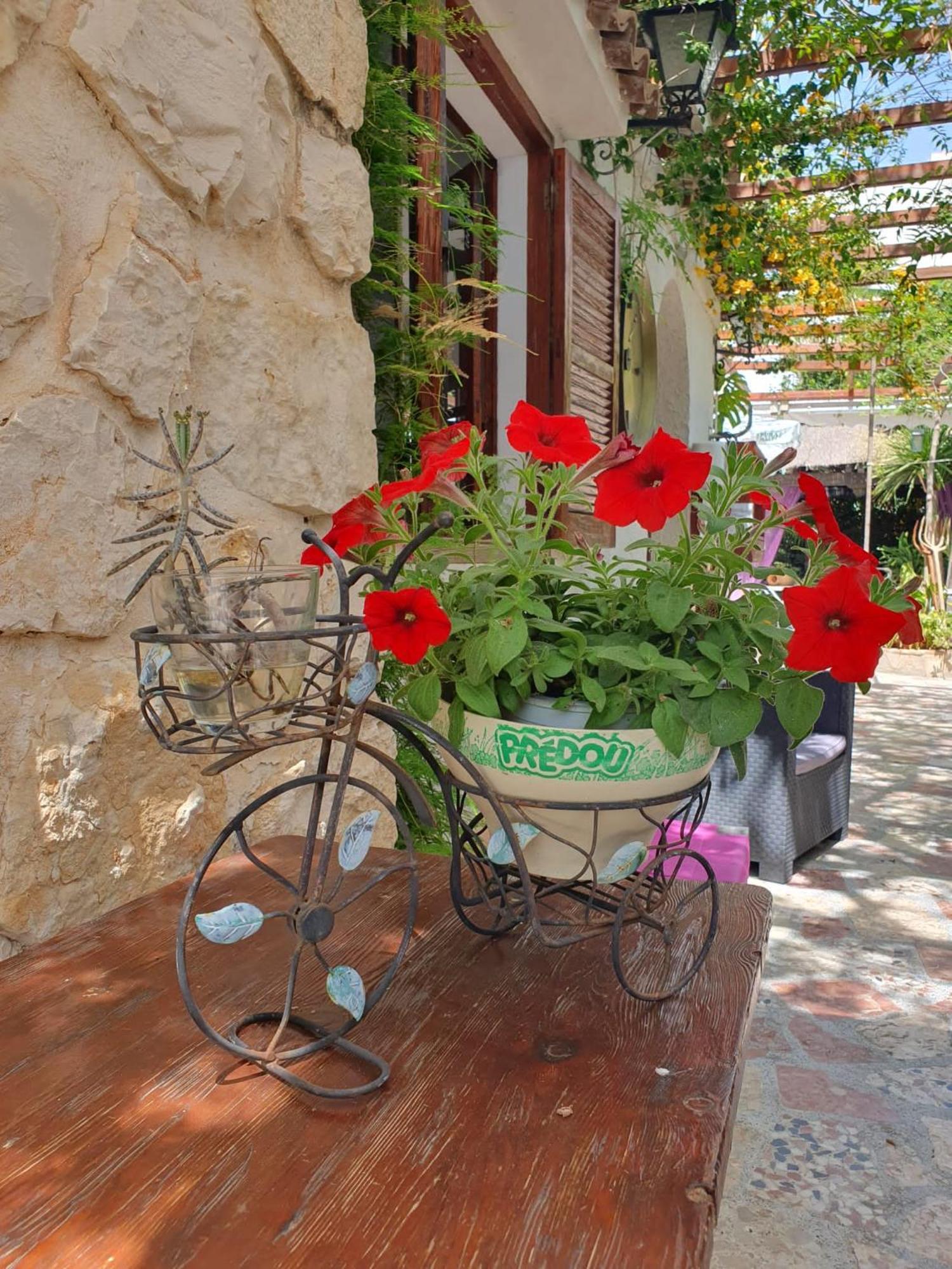 Hostal Mi Campana Denia Dış mekan fotoğraf
