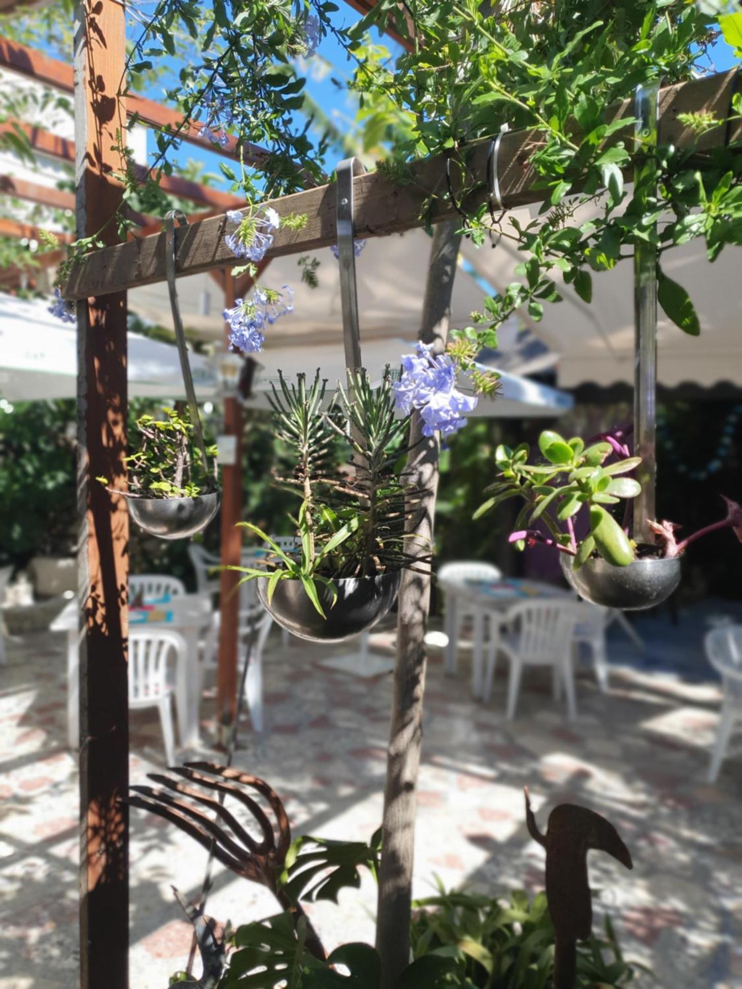 Hostal Mi Campana Denia Dış mekan fotoğraf