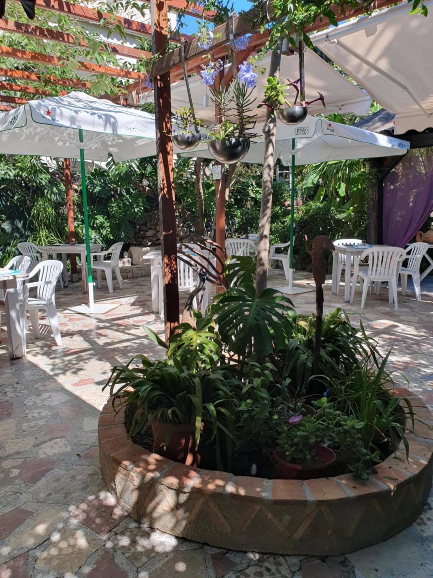 Hostal Mi Campana Denia Dış mekan fotoğraf